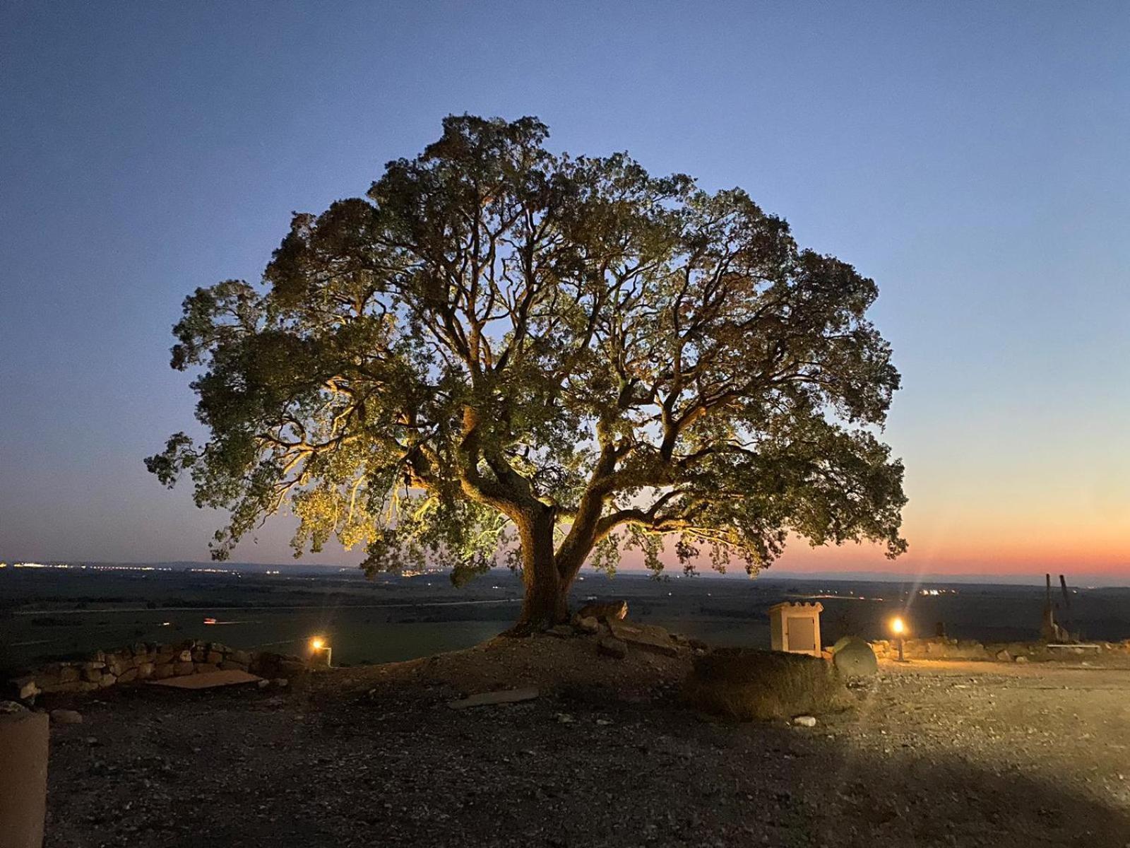Masia De Queralt Luxury Casa Rural Spa Y Vistas Concabella Kültér fotó
