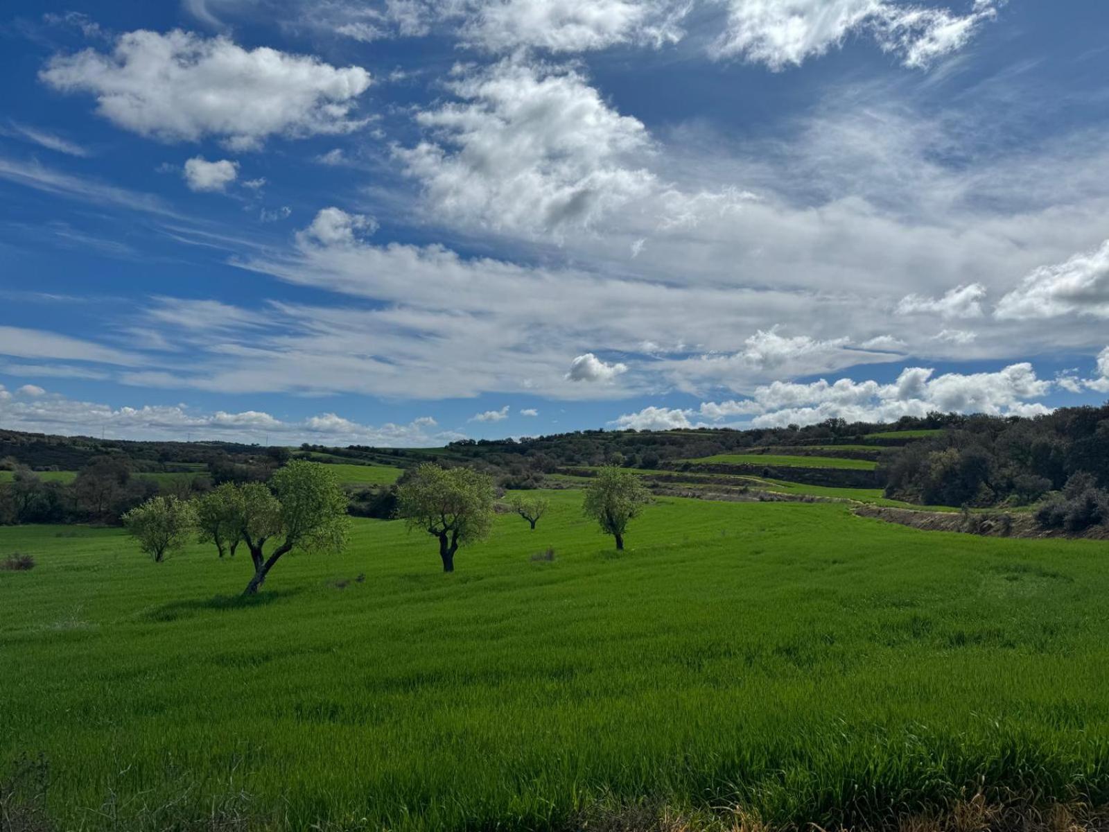 Masia De Queralt Luxury Casa Rural Spa Y Vistas Concabella Kültér fotó